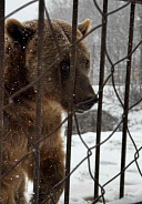 Хаджохская теснина