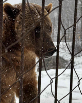 Хаджохская теснина