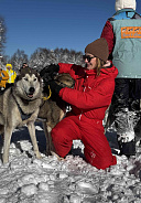 Катание на хаски