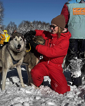 Катание на хаски
